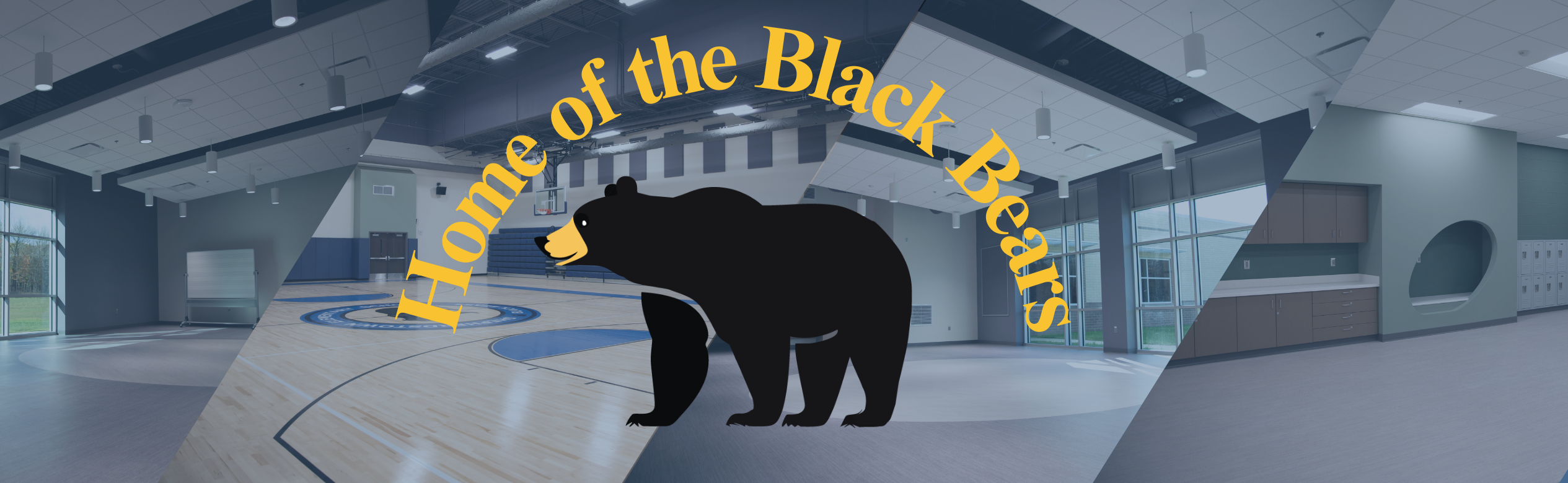 home of the black bears building photos