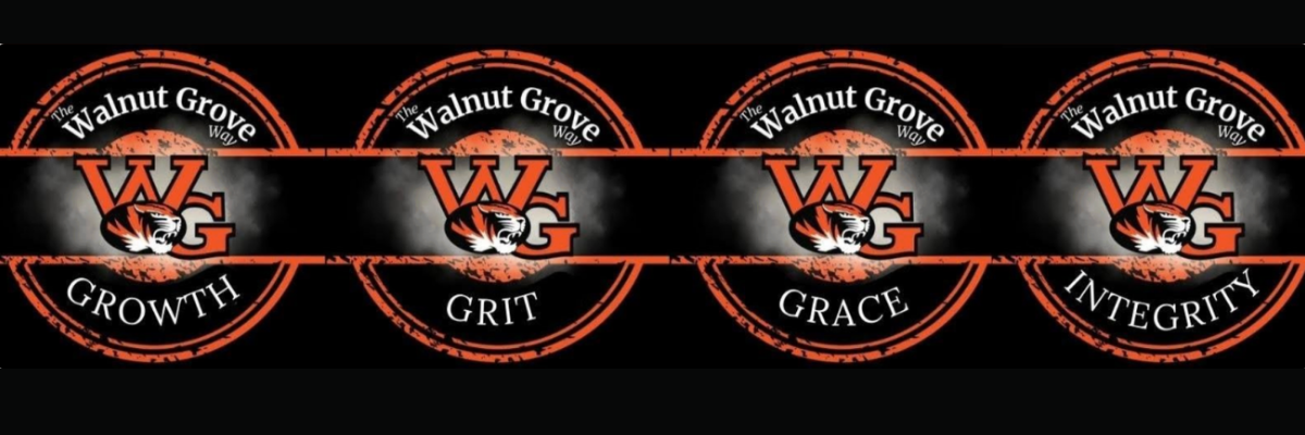 Core Values