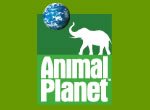 animalplanet