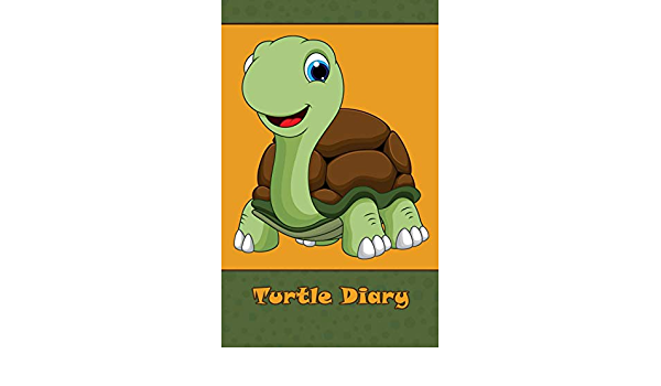 turtle 2