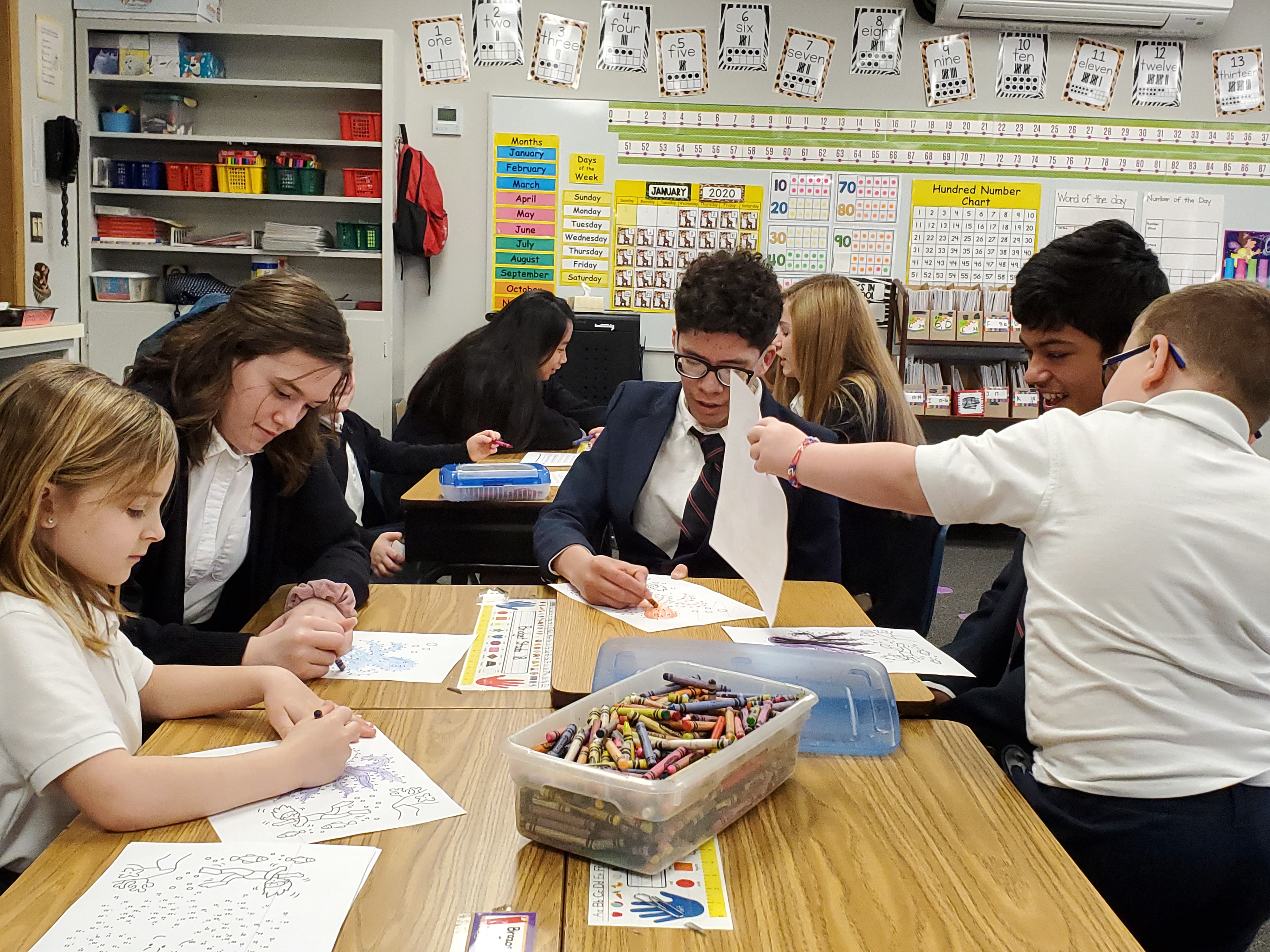 TMP-M students teaching HFE students