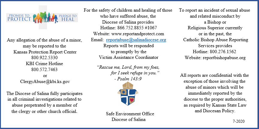 Safe Environment Information Graphic