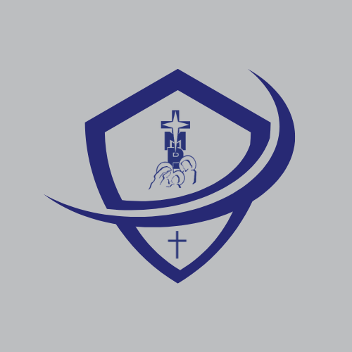 HCS shield