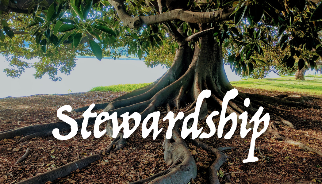 stewardship graphic