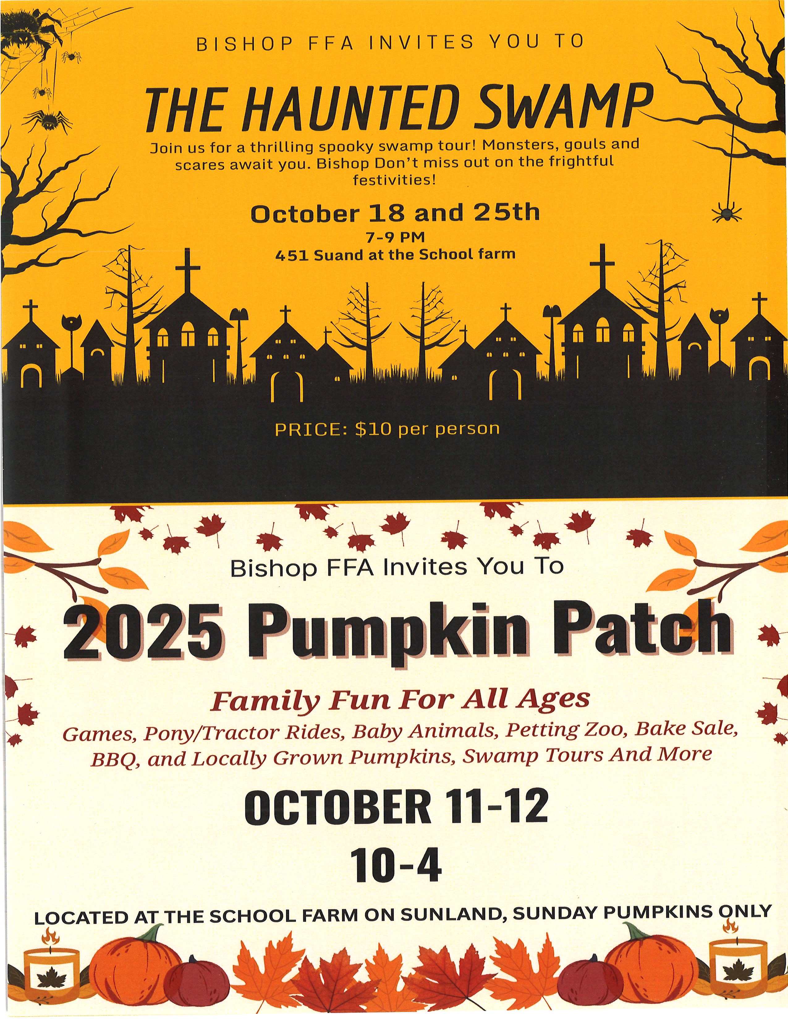 pumpkin patch