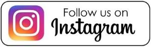 Instagram Follow Button