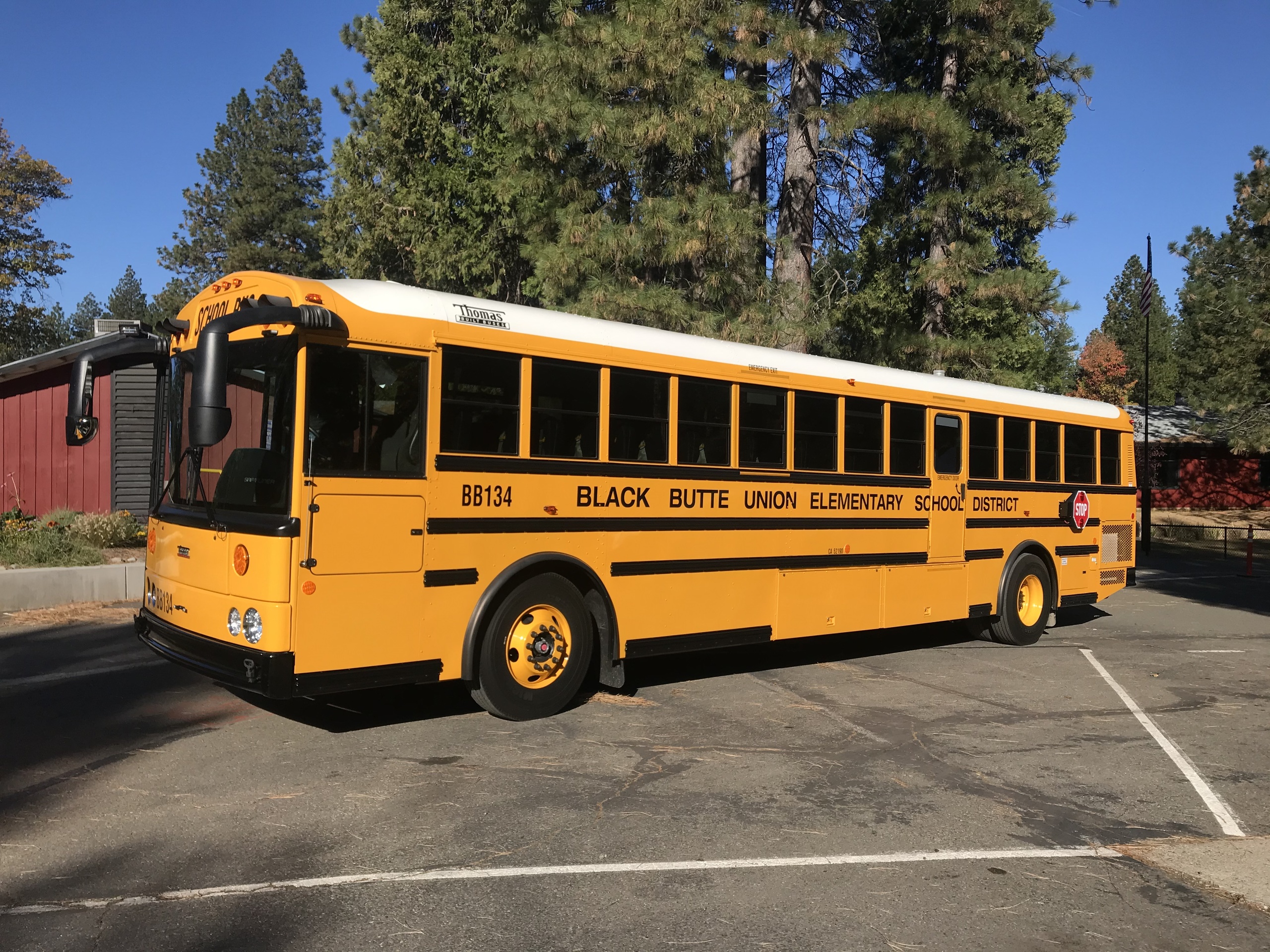 TAINT／GRUNTschoolyard bruises SP-ED 41 Special Education | Black Butte Union Elementary School
