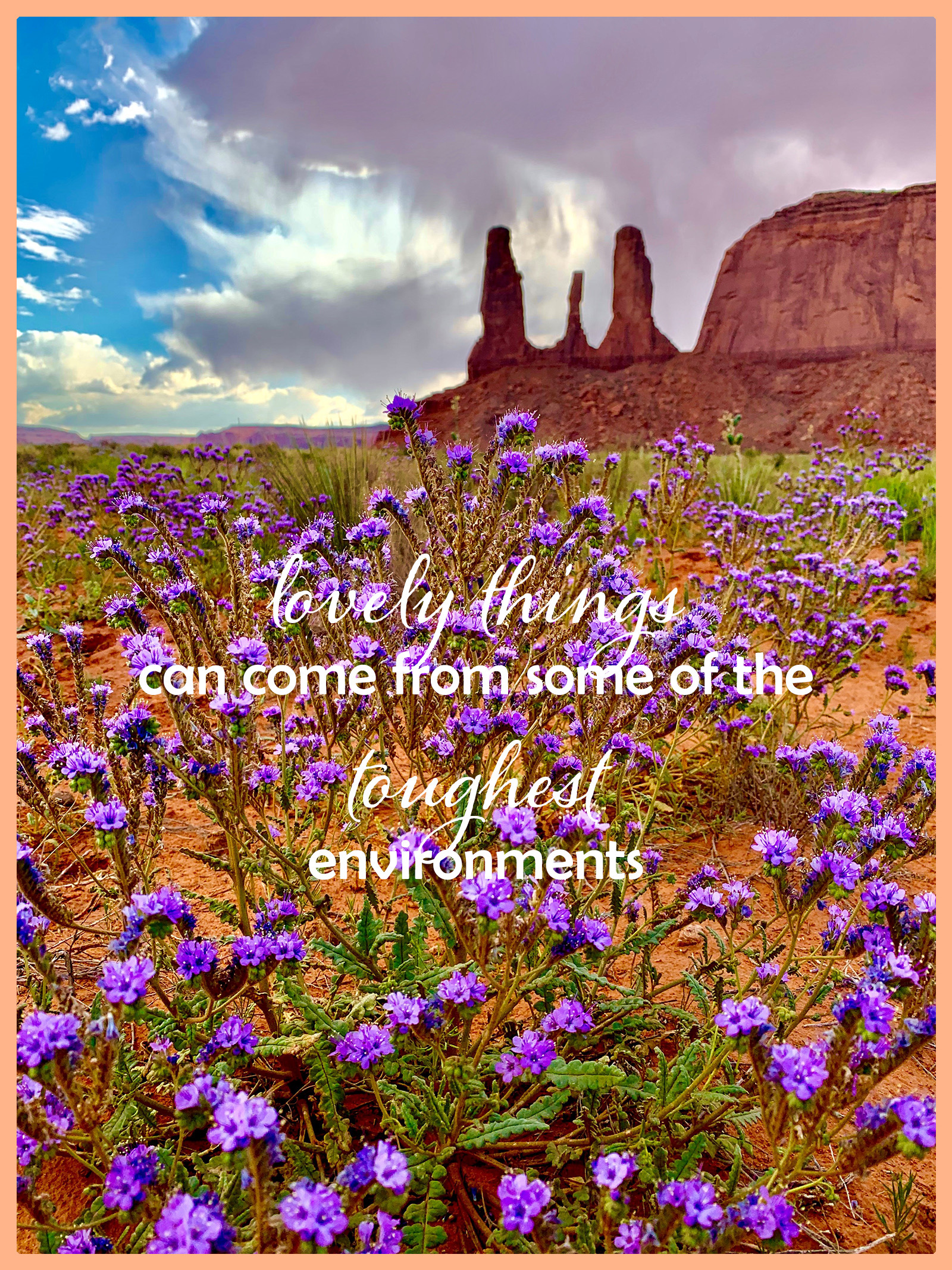 Kayenta Unified School District Home