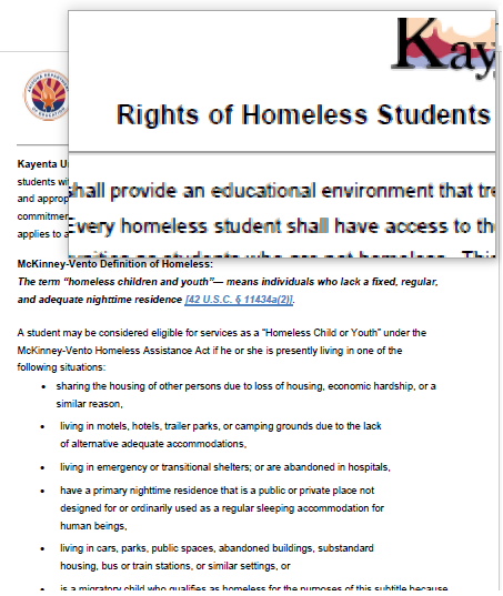 Homeless Rights Document Image
