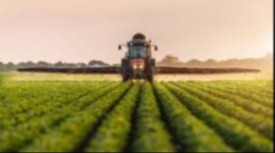 Tractor in a field
