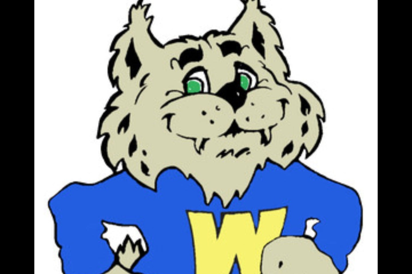 wildcat