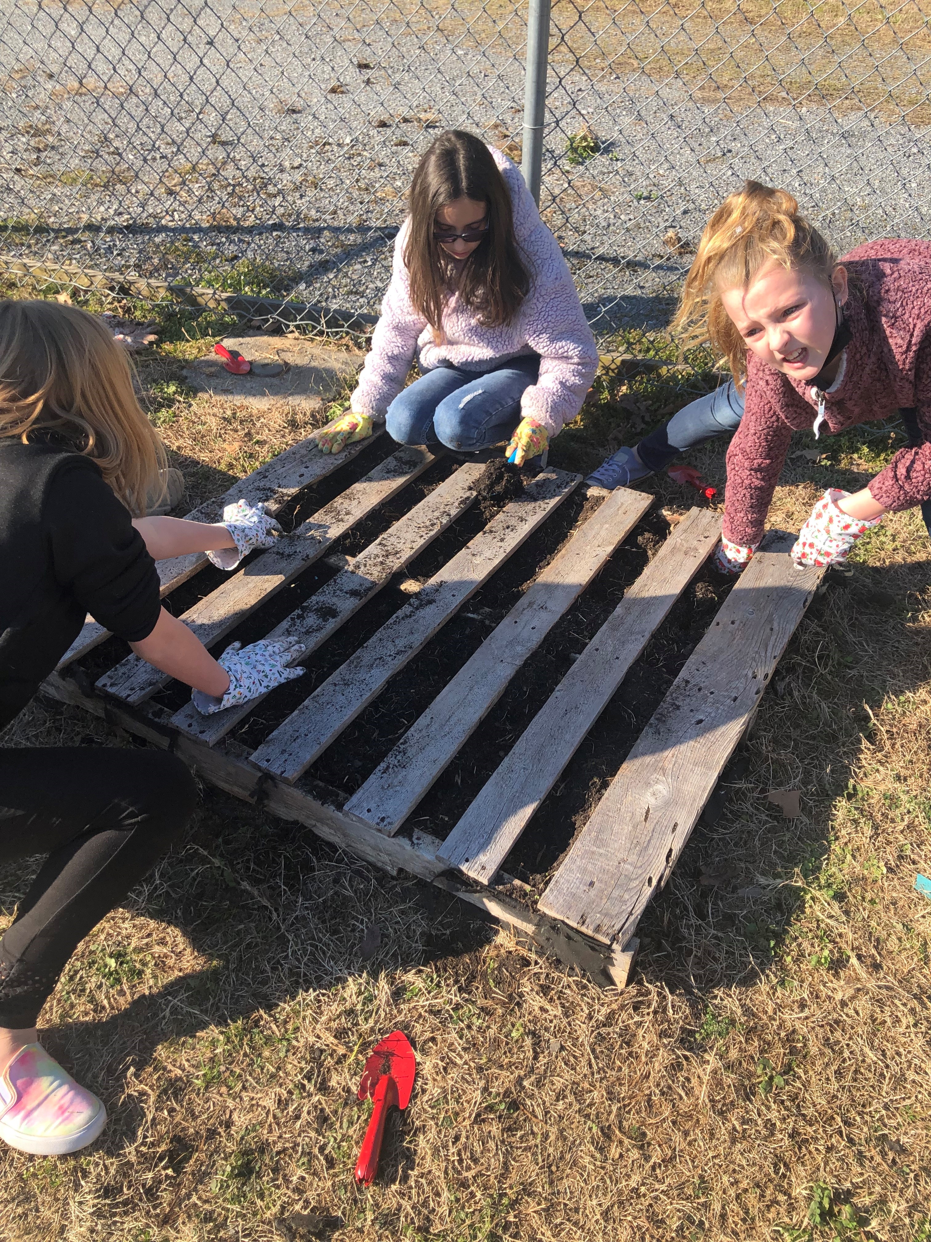 gardening with pallets 2