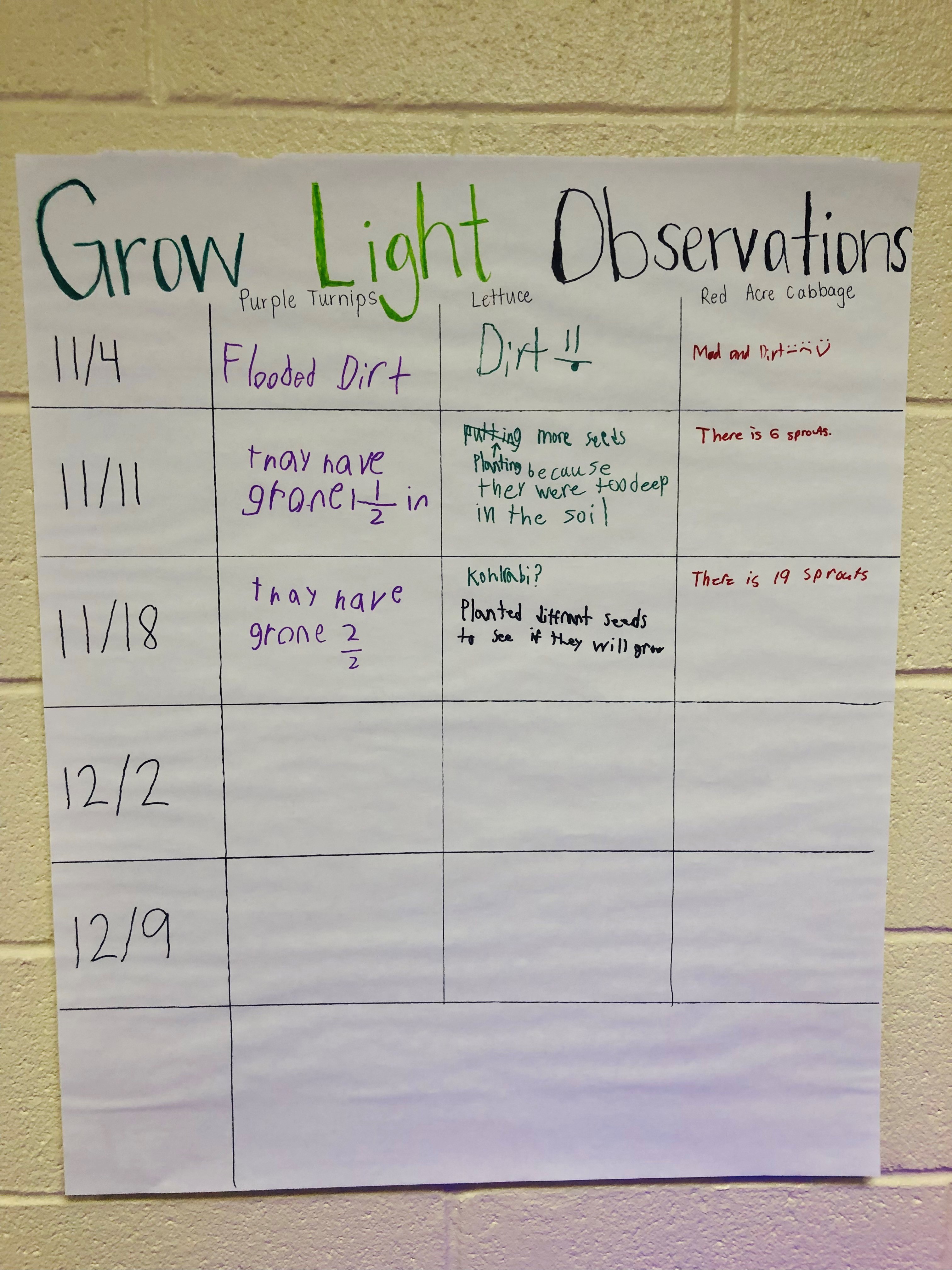 Grow light observations