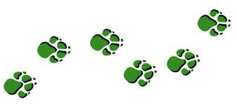 paws