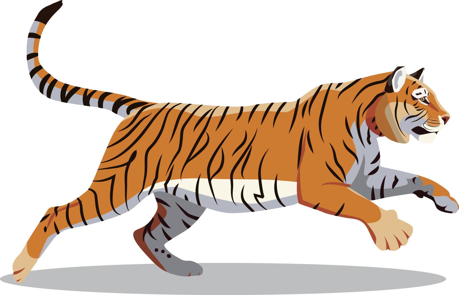 tiger running