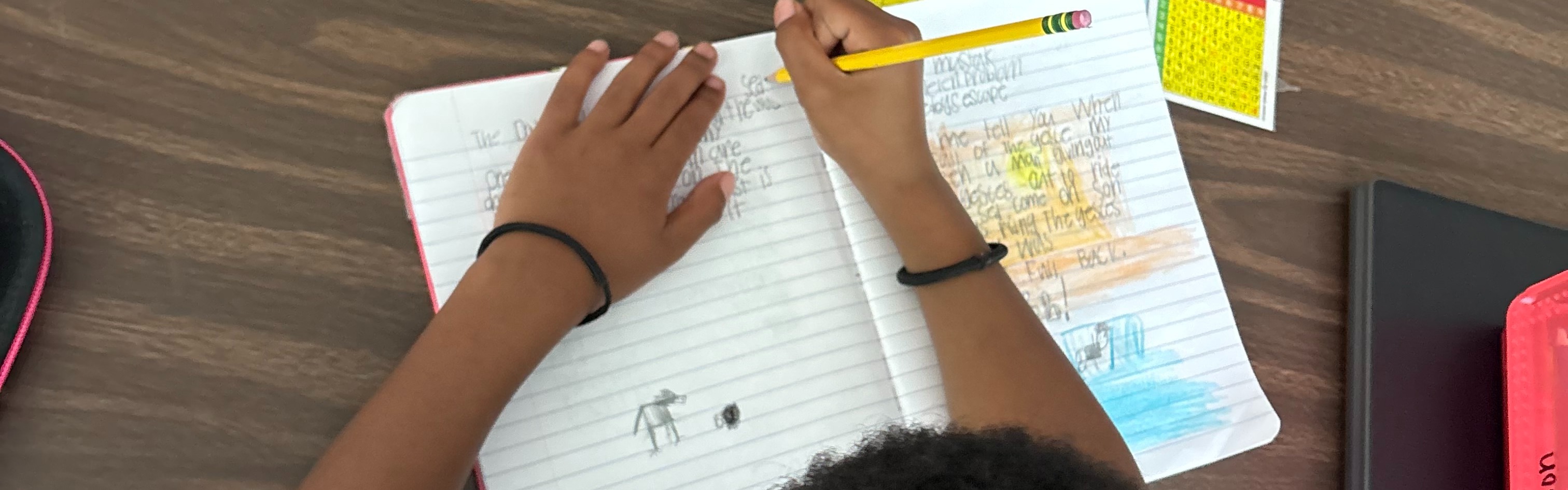 Student Writing