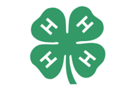 4-H Logo