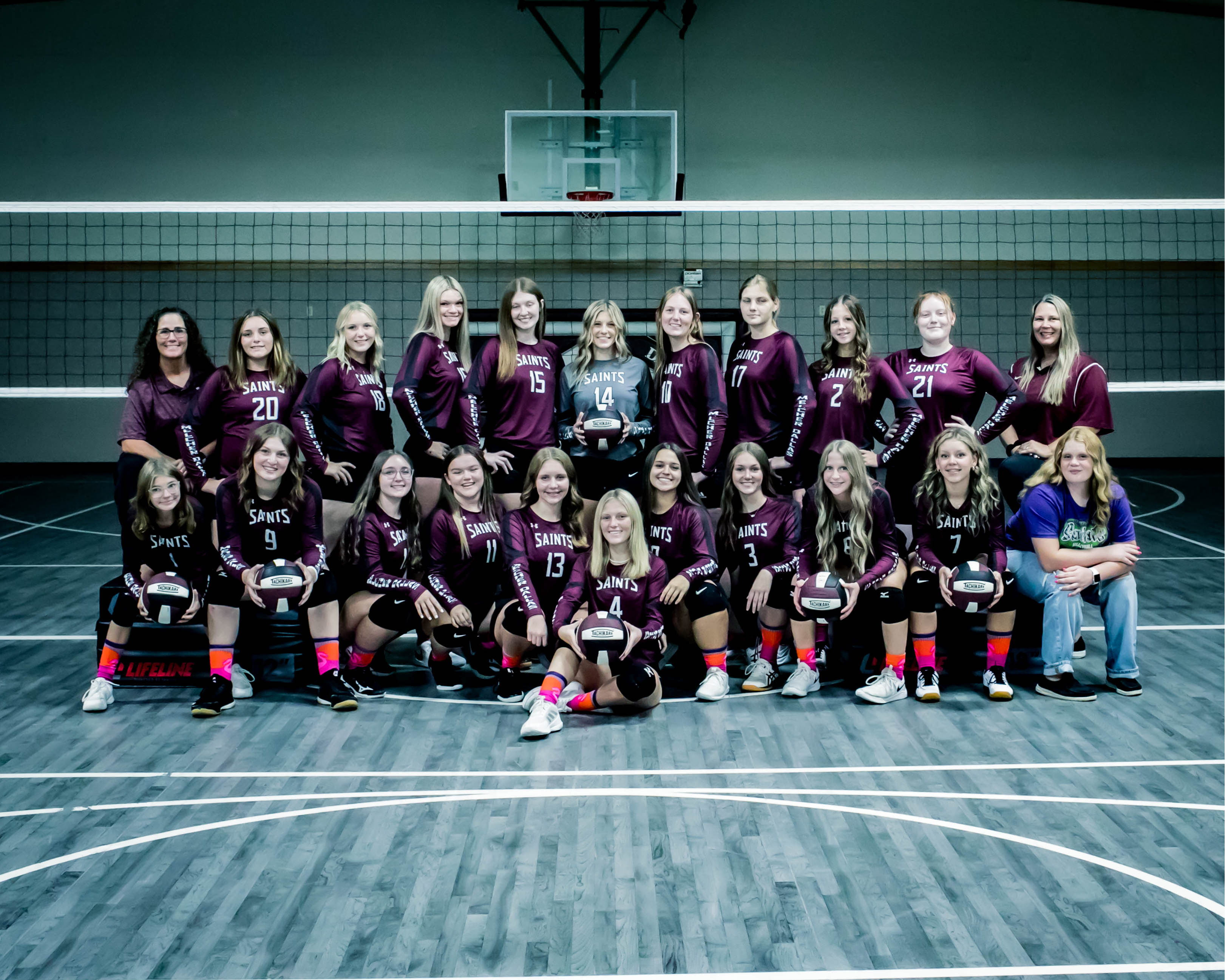 HS Volleyball Team
