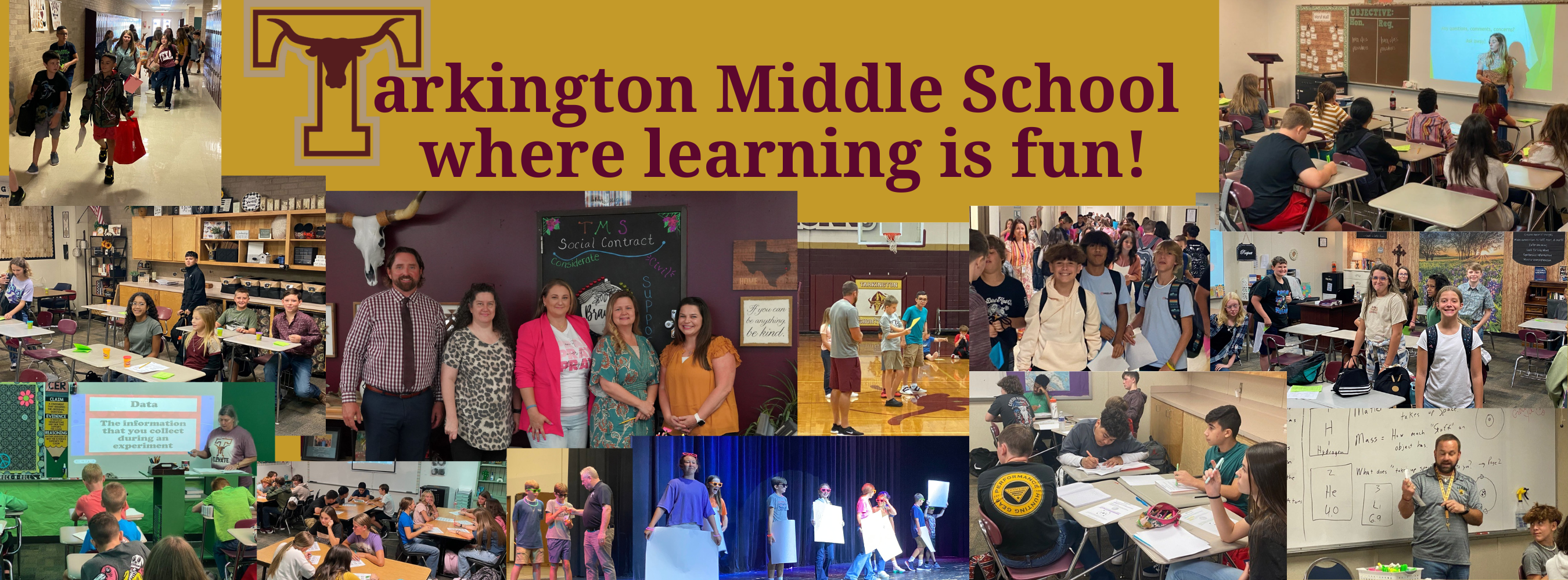TMS - where learning is fun!
