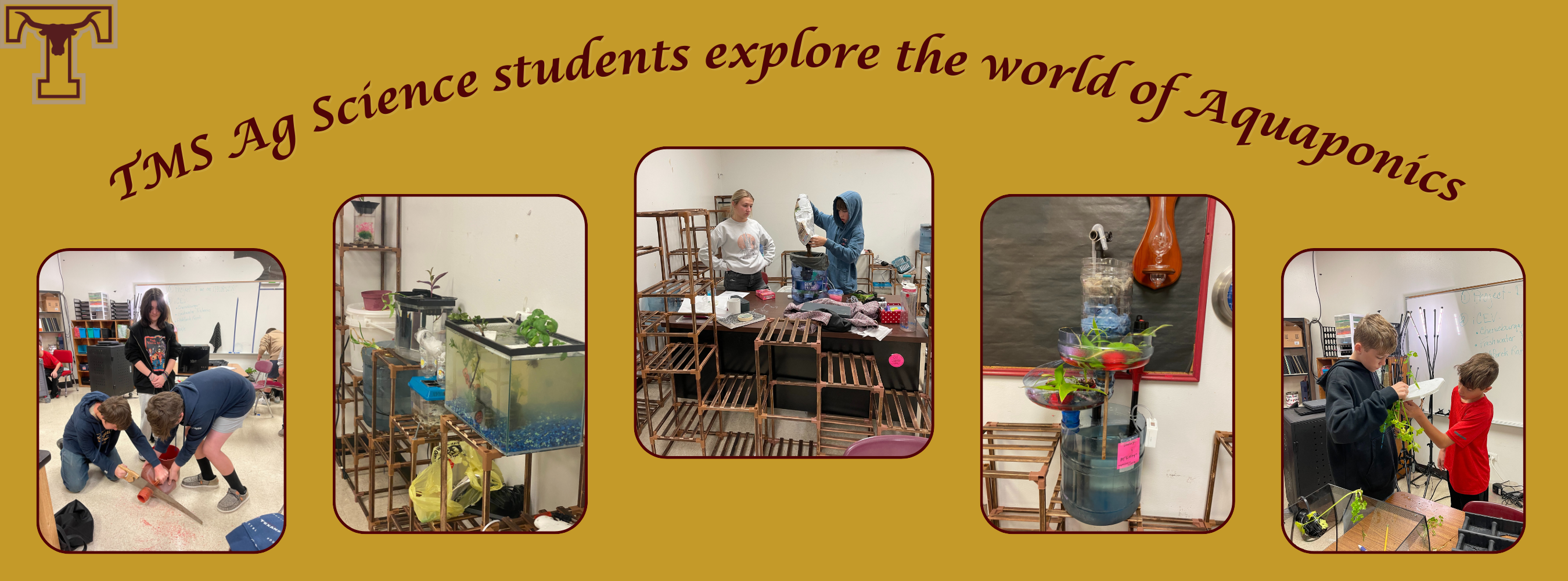 TMS students explore the world of aquaponics