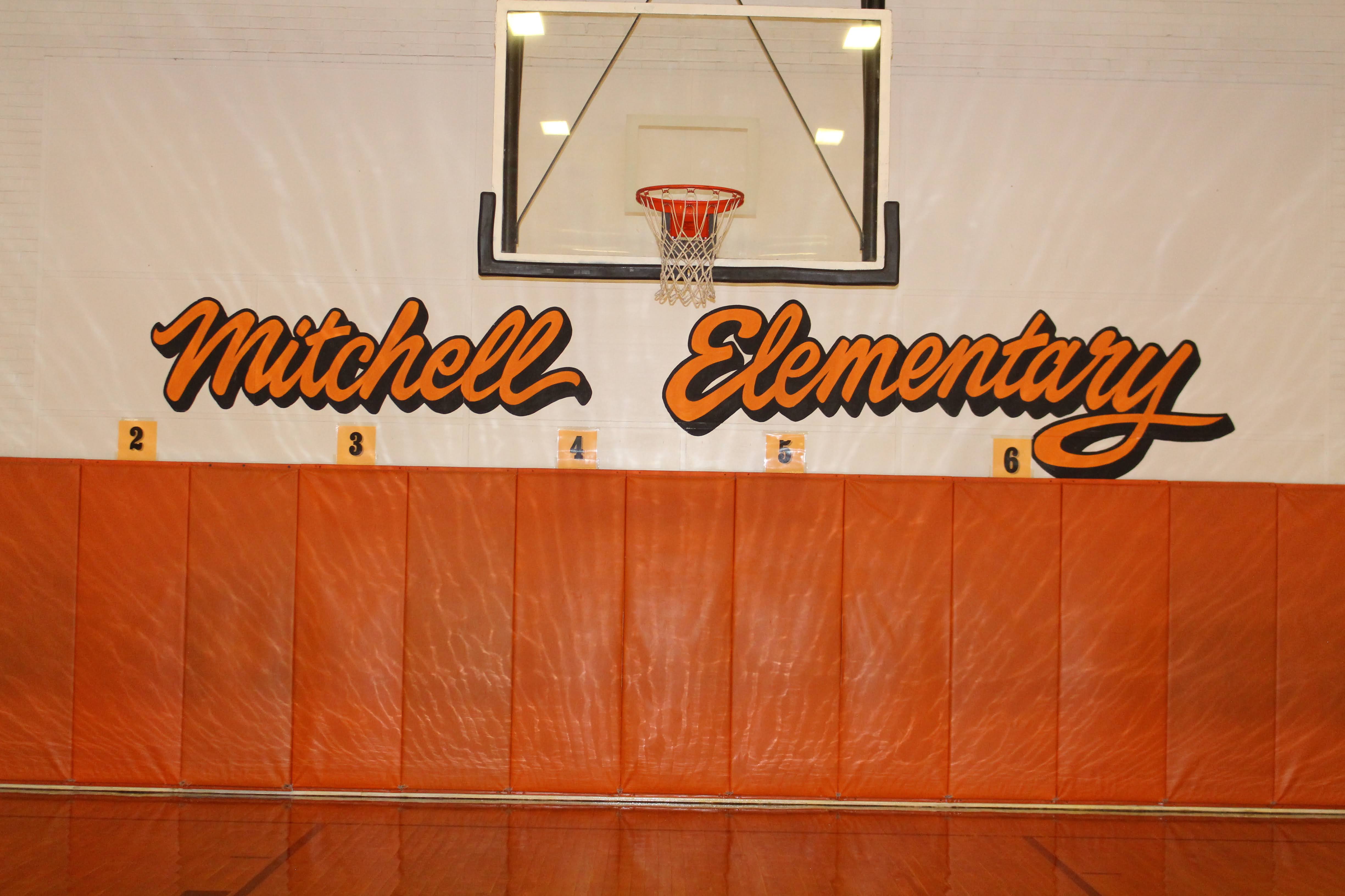 Elementary Gym