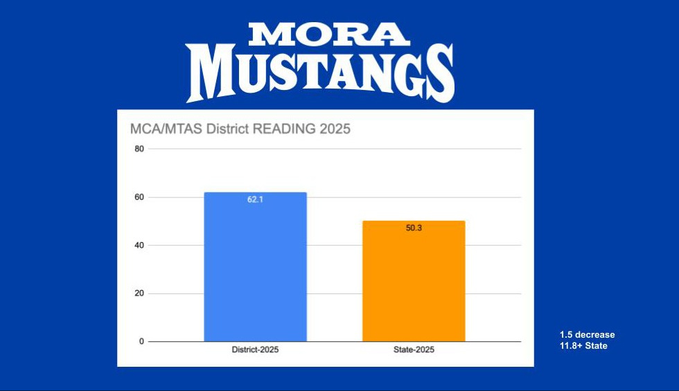 MCA/MTAS District Reading 2024 Test Scores