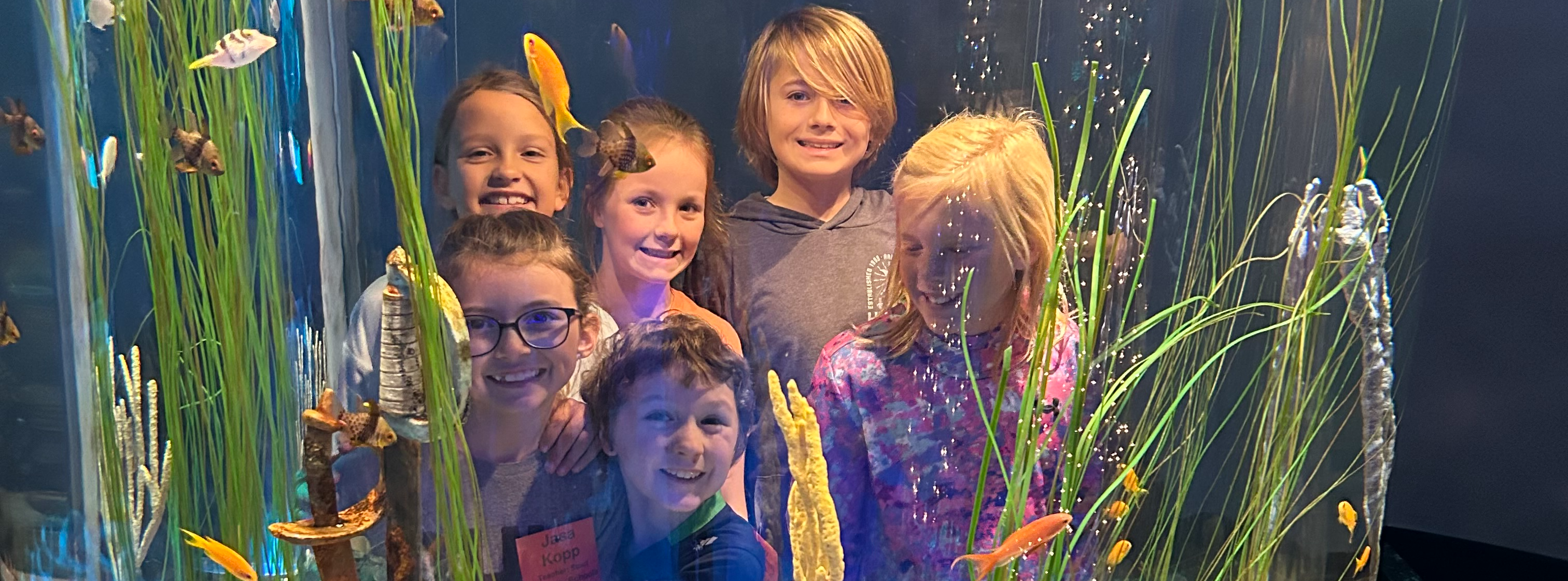 Students at the Newport Aquarium