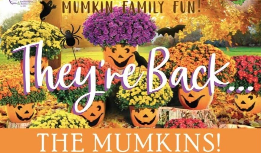 mumkin order flyer