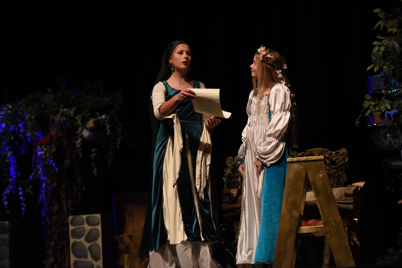 Maid Marian & Lady in Waiting