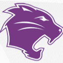 Wildcat  Logo
