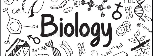 Biology header
