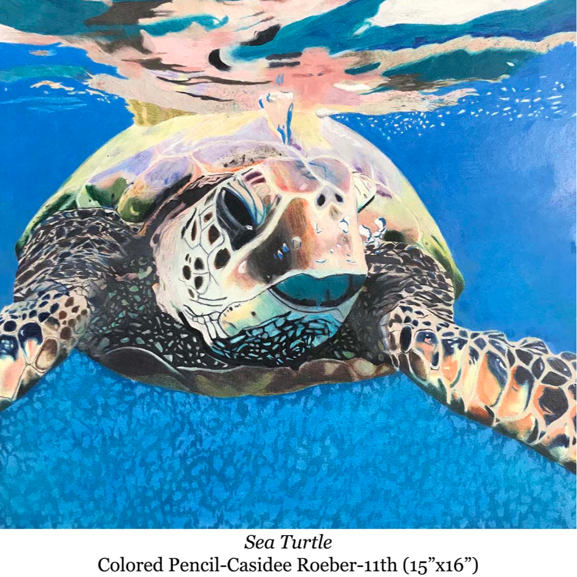 a drawing of a seaturtle