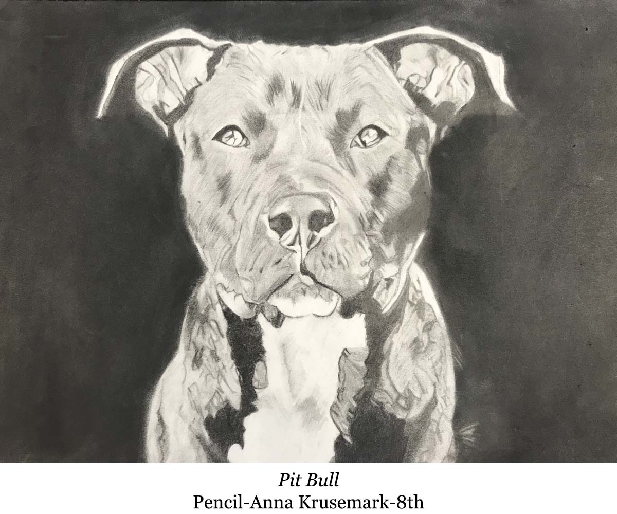 a drawing of a pit bull