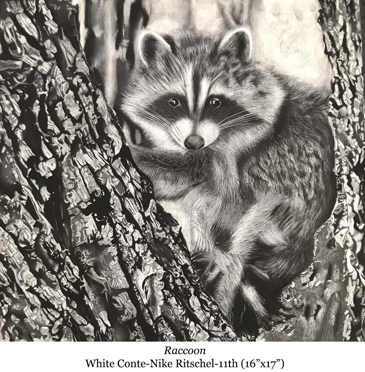 a drawing of raccoon