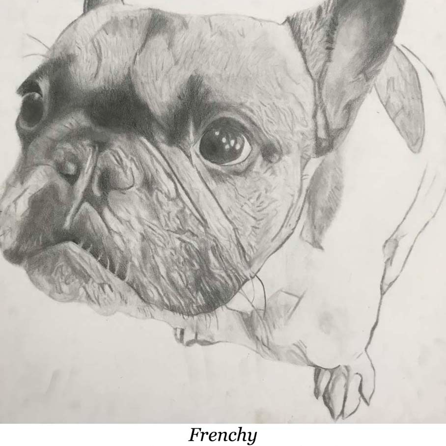 a drawing of a french bulldog