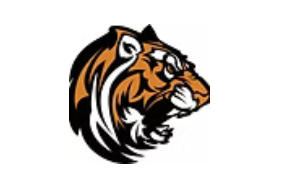 DSD tigers