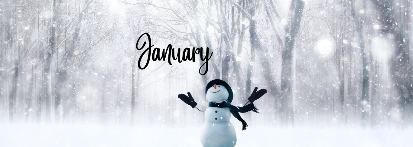 snowman january