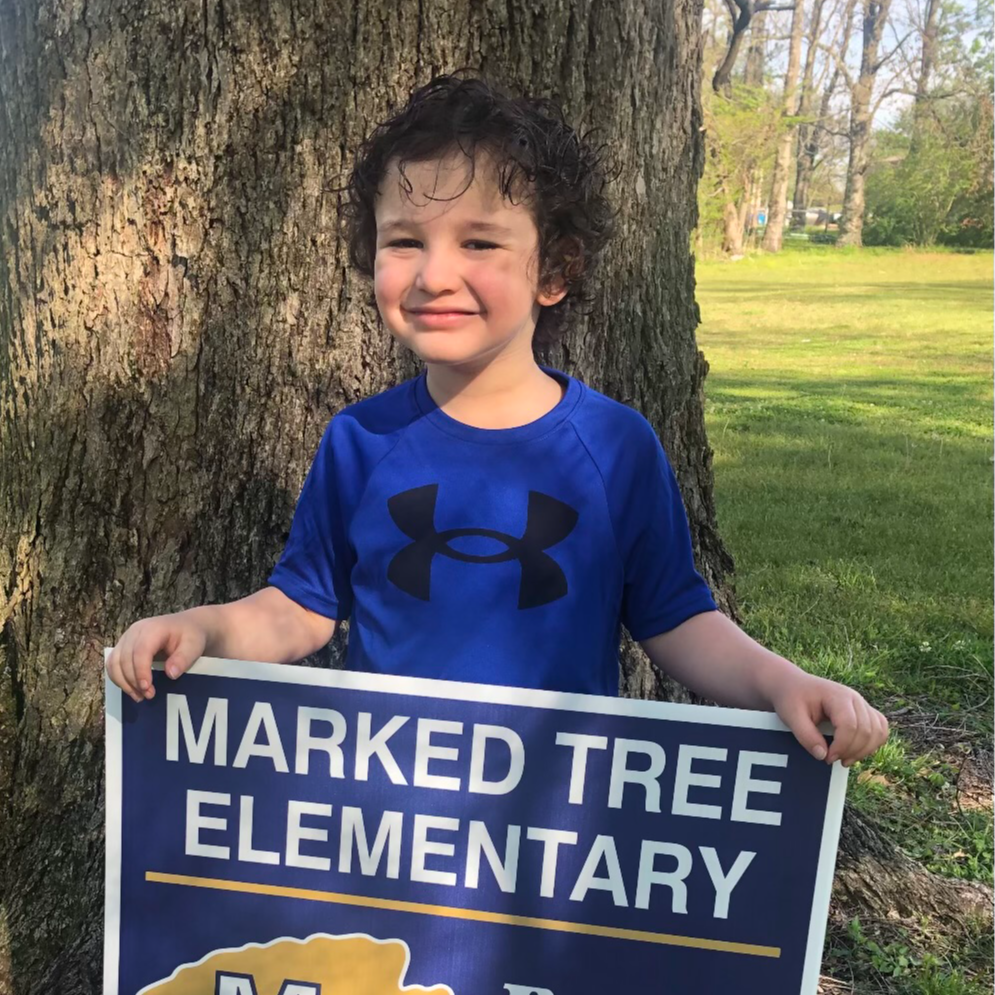 Marked Tree School District