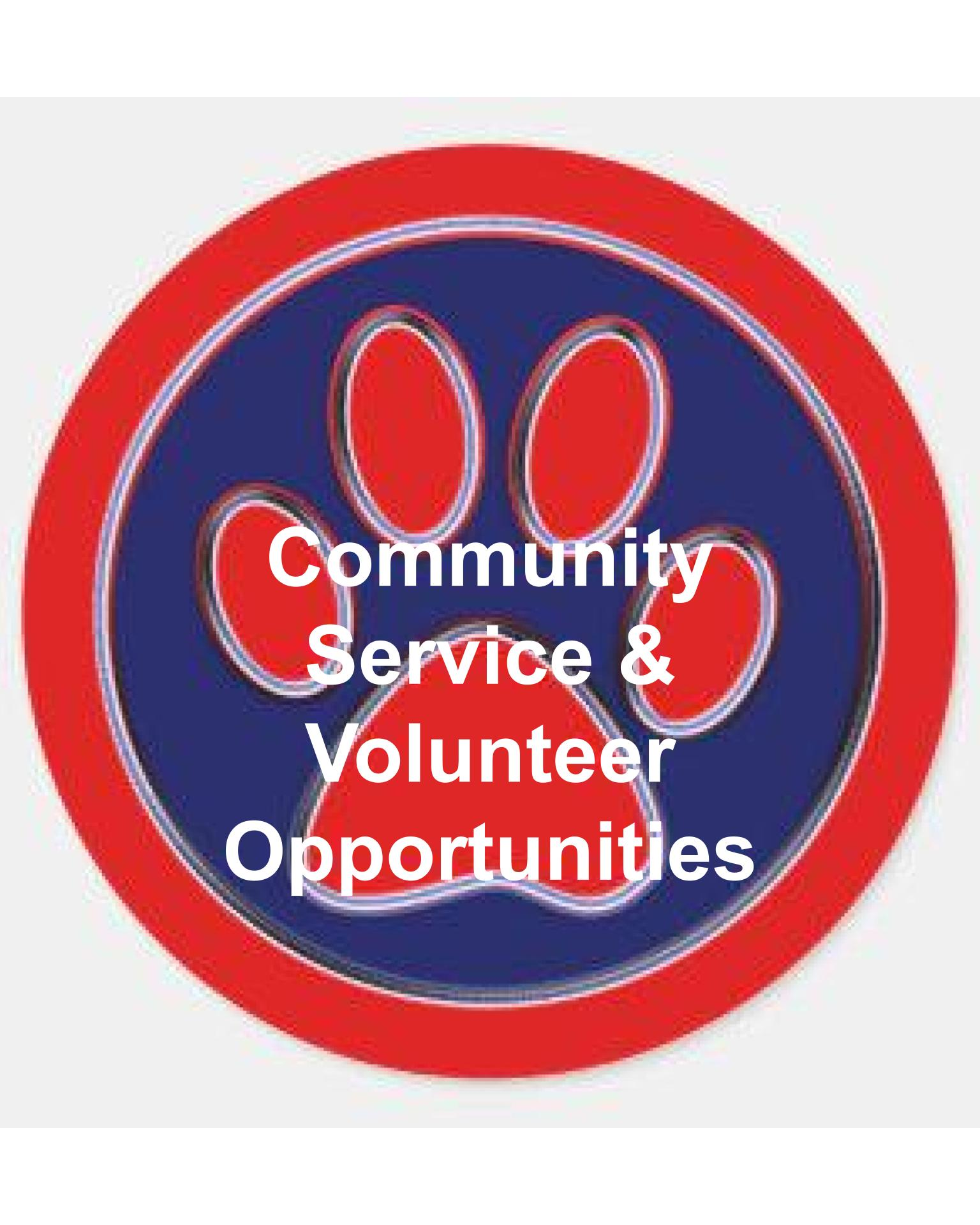 Volunteer/Community Serv