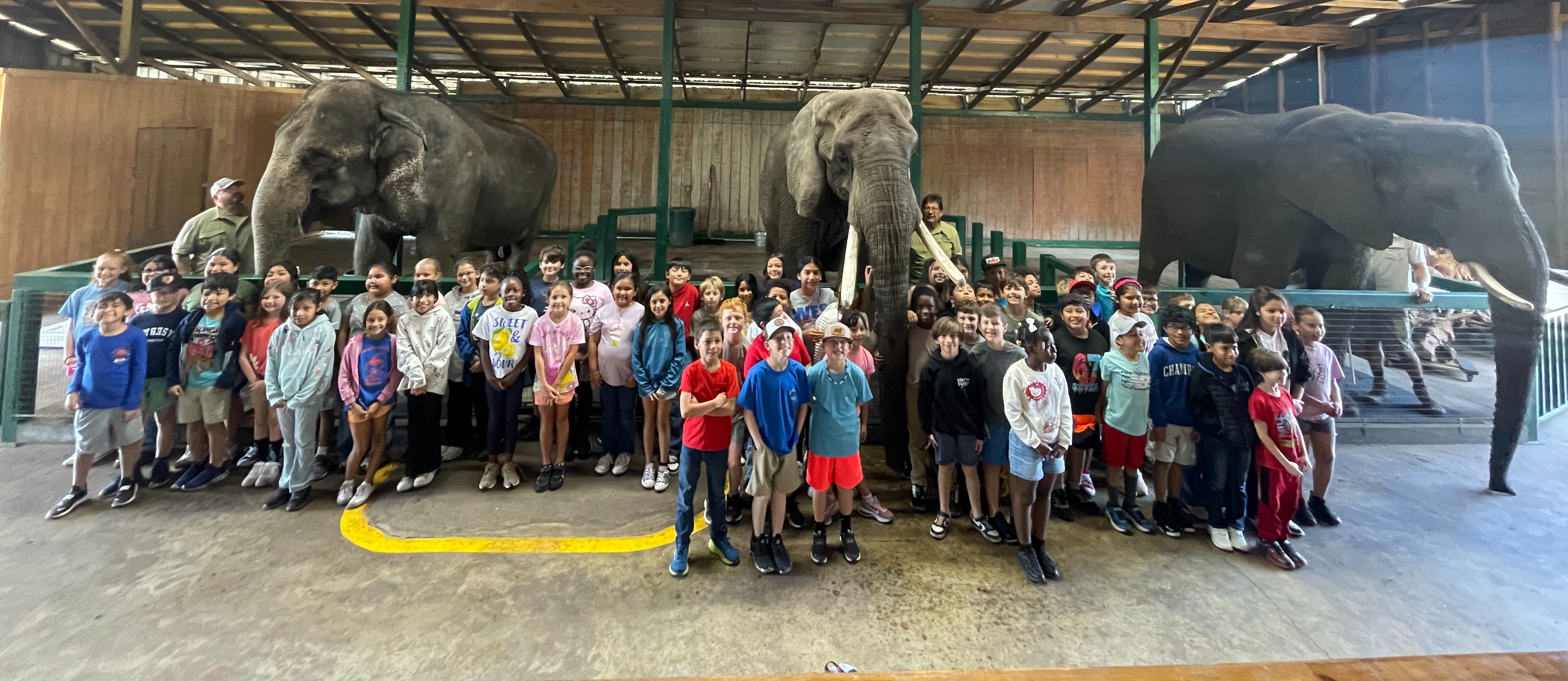 a group of students with three elephants