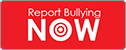 bully reporting