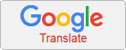 Google Translate Button