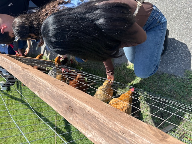 Fat Beet Farm Field Trip