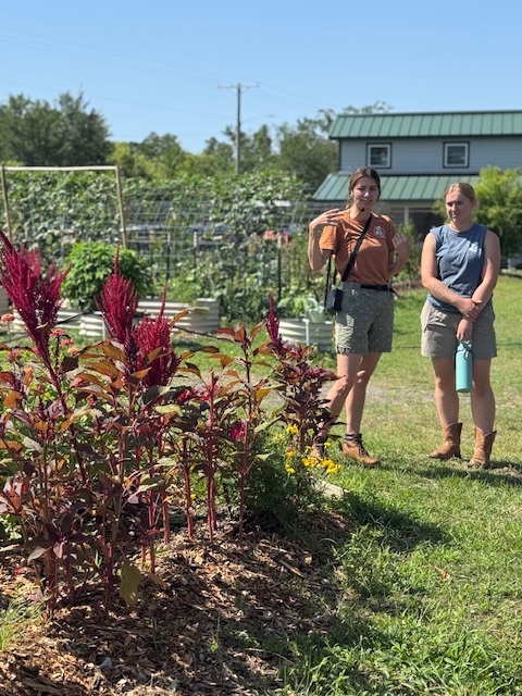 Fat Beet Farm Field Trip