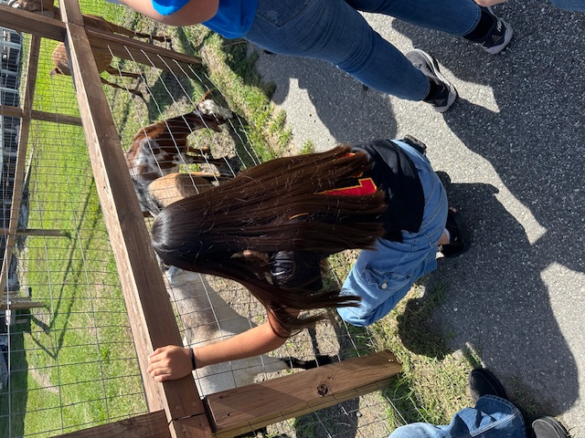 Fat Beet Farm Field Trip