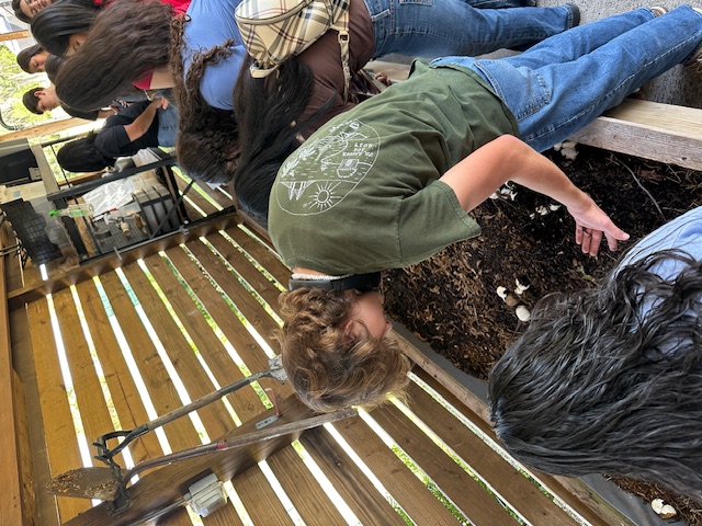 Fat Beet Farm Field Trip