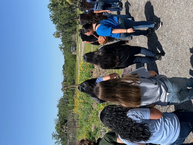 Fat Beet Farm Field Trip