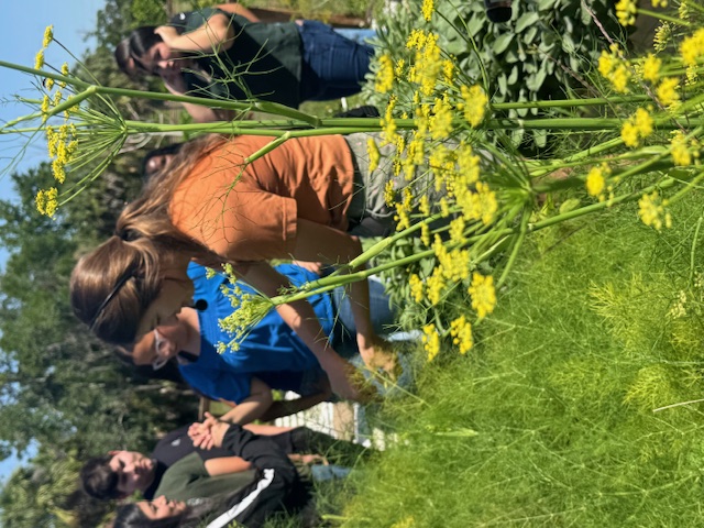 Fat Beet Farm Field Trip