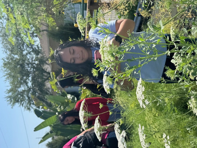 Fat Beet Farm Field Trip