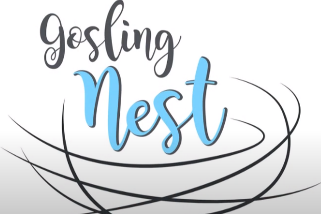 Gosling Nest Logo